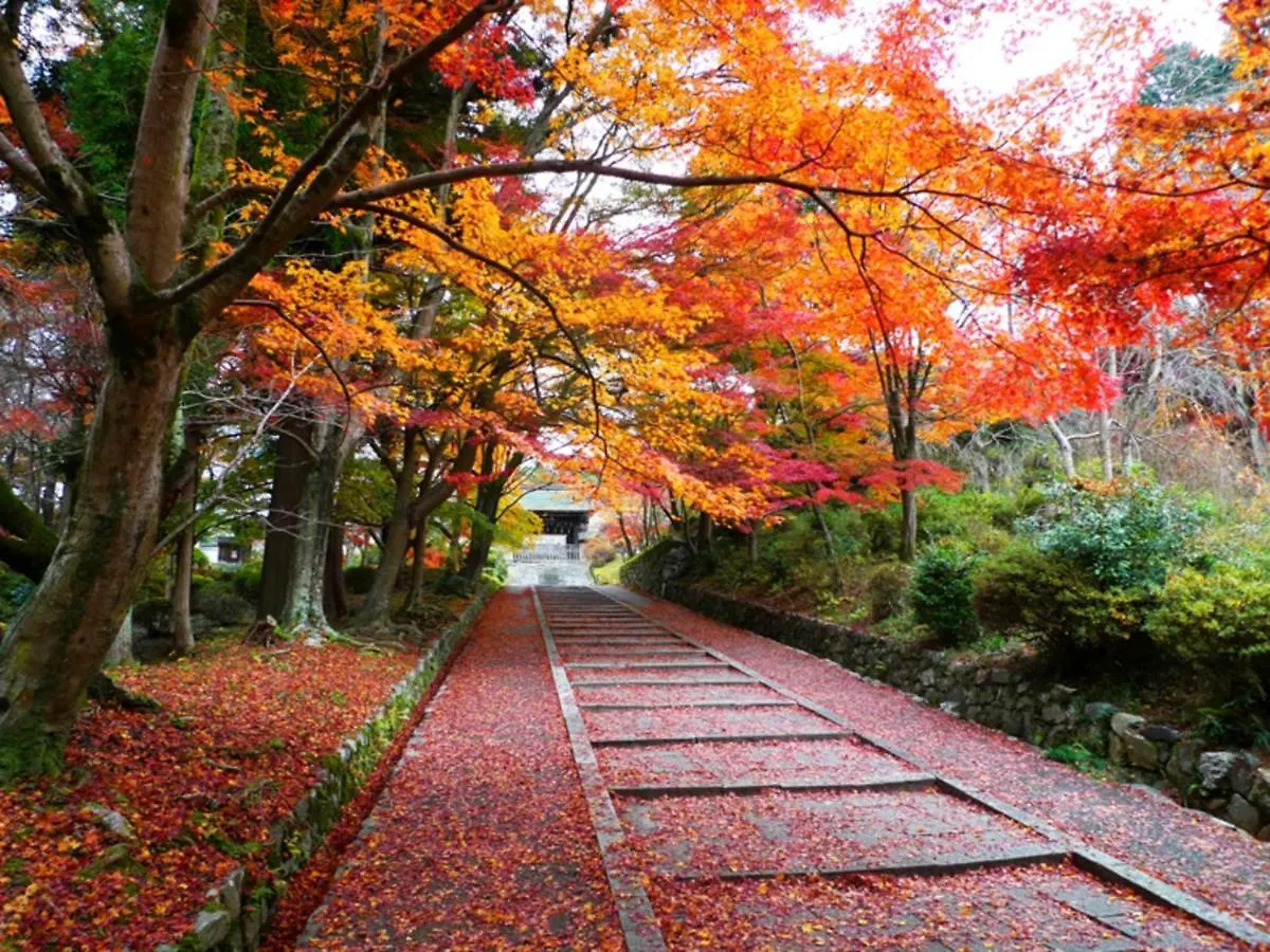 Apartahotel Stay Sakura Kyoto Nijo Rikyu